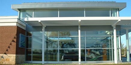 Window Film