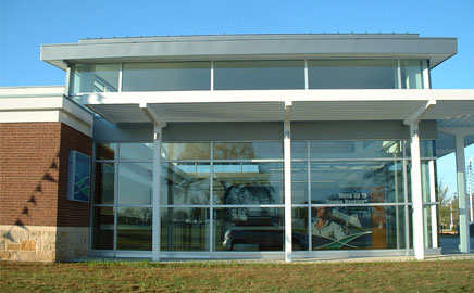 Window Film